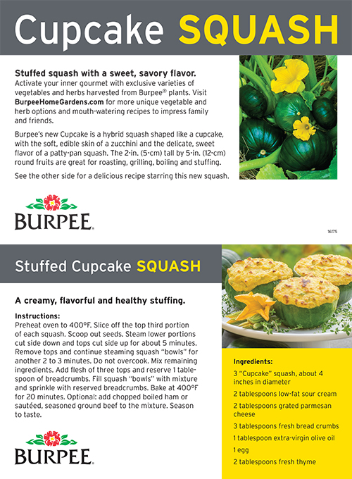 Burpee recipe card for cupcake squash.